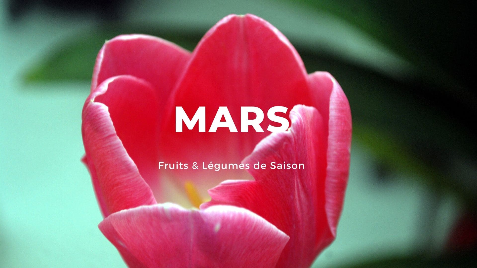 Fruits et Légumes du mois de Mars - Bien Etre et Nutrition